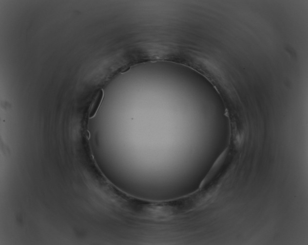 X0000090990221200708021529