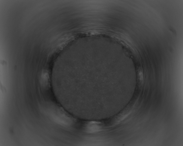 X0000090990222200708021529