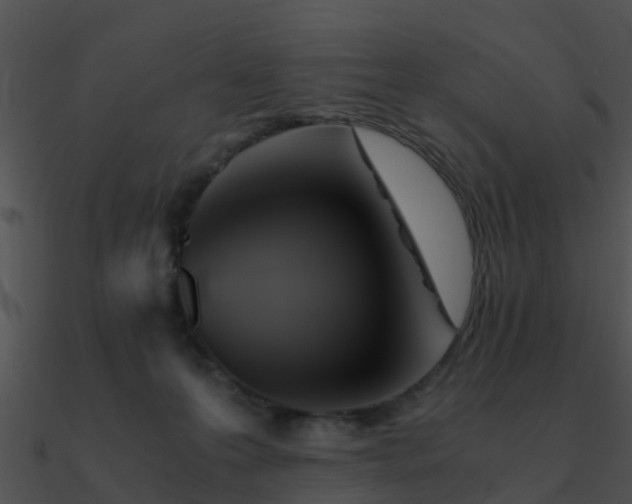 X0000090990223200708021529