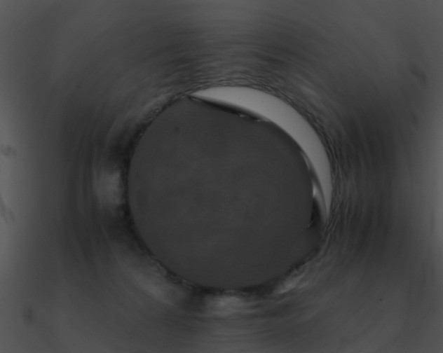 X0000090990224200708021529