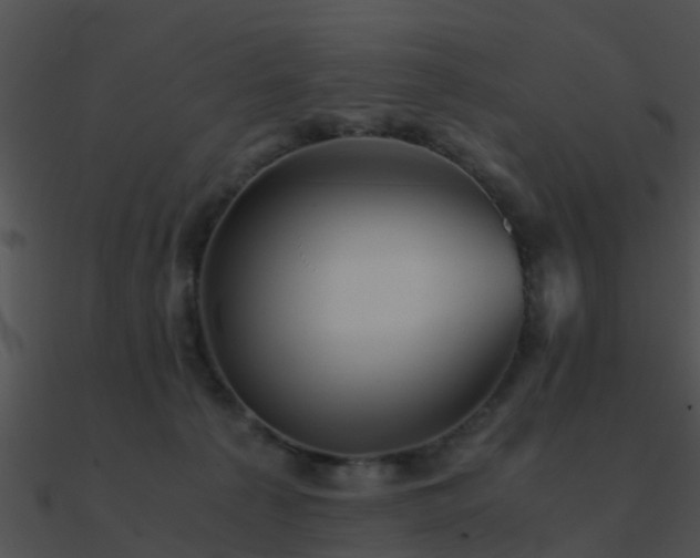 X0000090990225200708021529