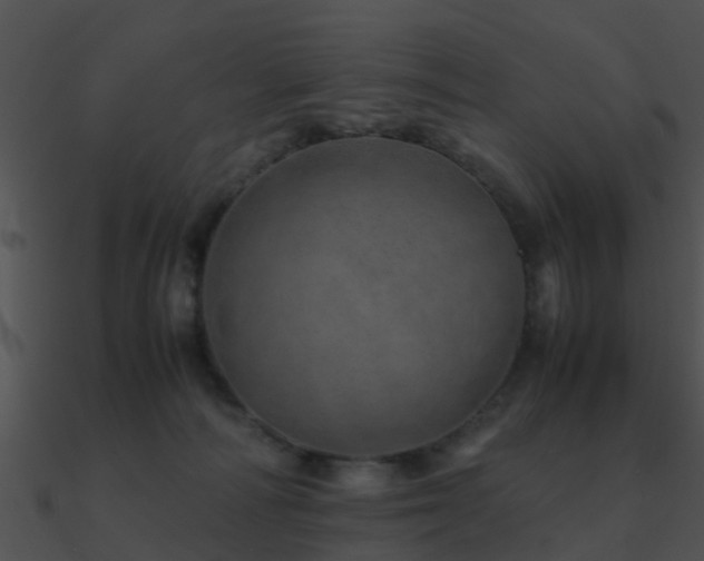 X0000090990226200708021529