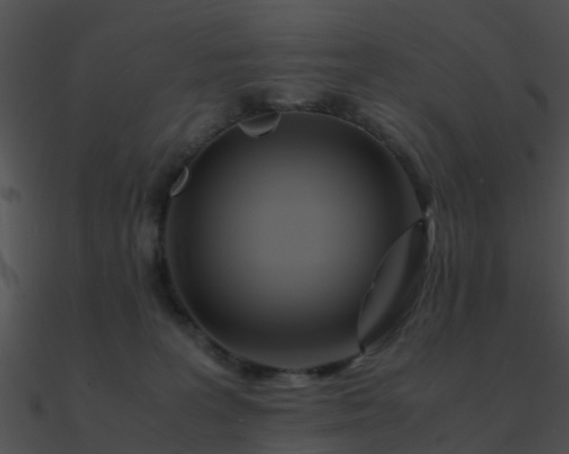 X0000090990227200708021529