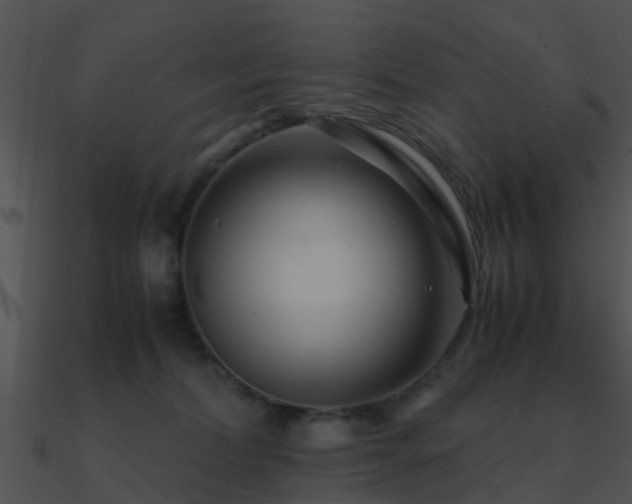 X0000090990228200708021529
