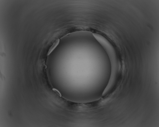 X0000090990229200708021529