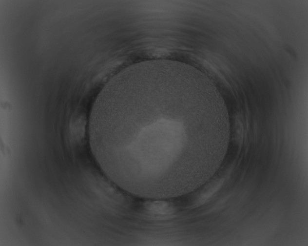 X0000090990230200708021529