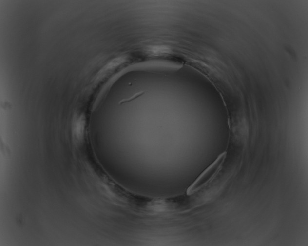 X0000090990231200708021529