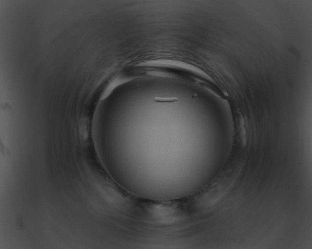 X0000090990232200708021529