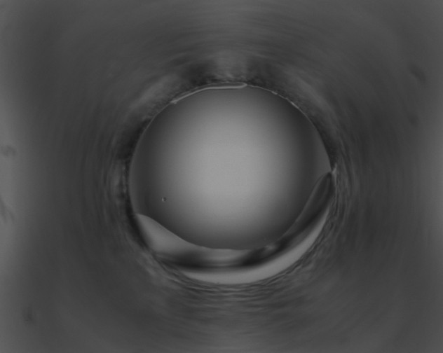 X0000090990233200708021529