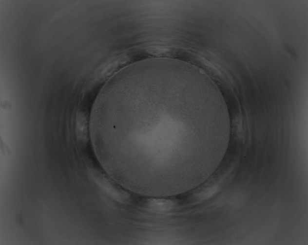 X0000090990234200708021529