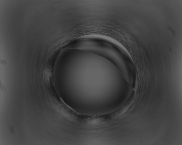 X0000090990235200708021529