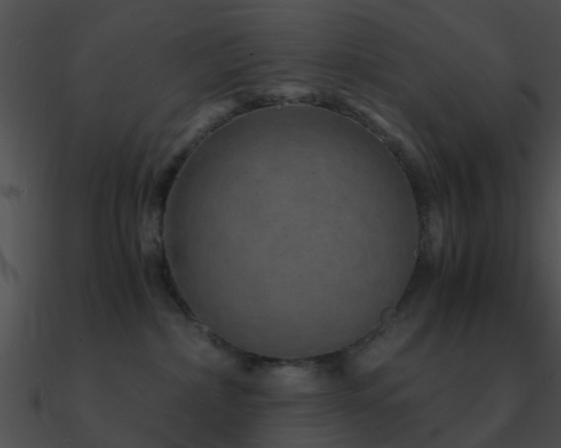 X0000090990236200708021529