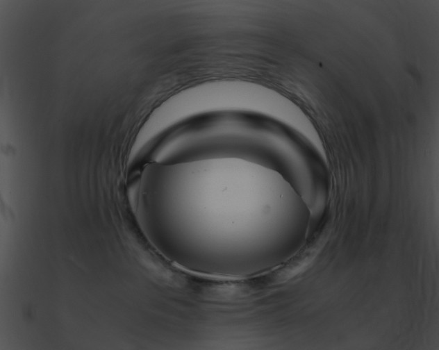 X0000090990237200708021529