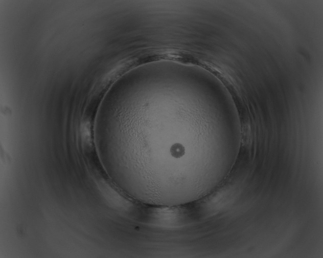 X0000090990238200708021529