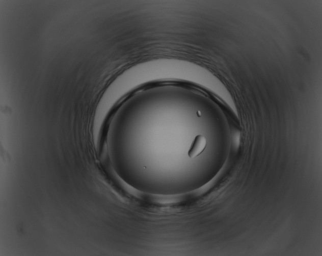 X0000090990239200708021529