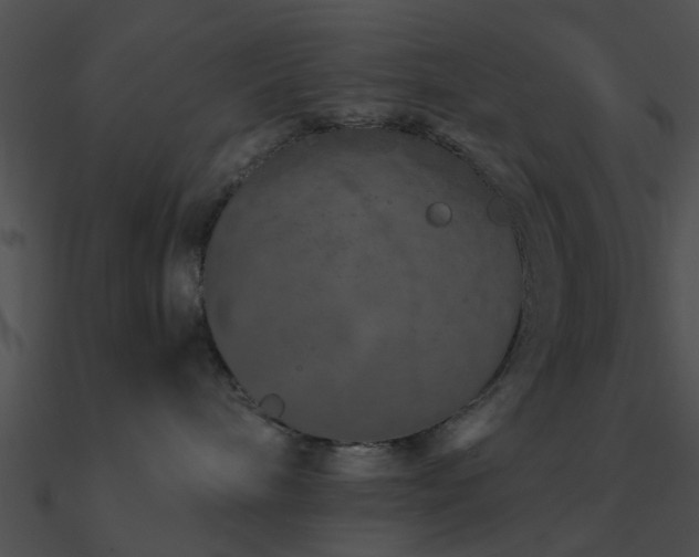 X0000090990240200708021529