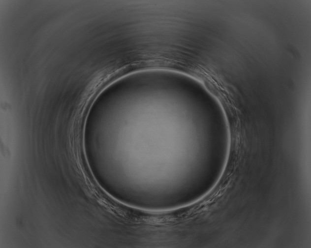 X0000090990241200708021528