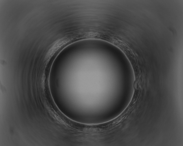 X0000090990242200708021529