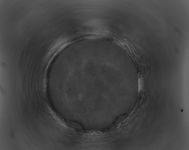 X0000090990243200708021529