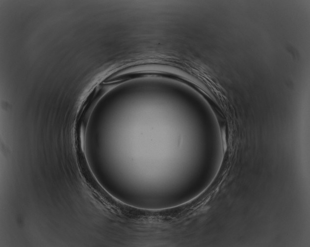 X0000090990244200708021529
