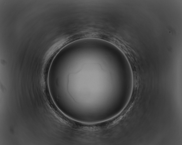 X0000090990245200708021529