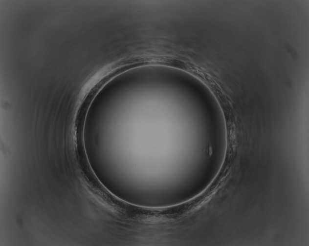 X0000090990246200708021529