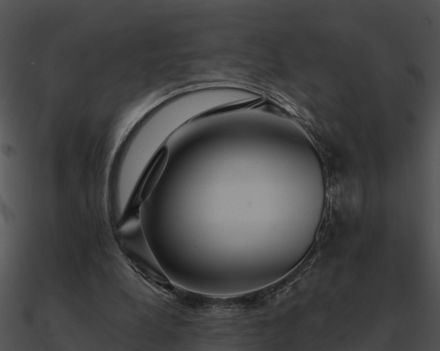 X0000090990248200708021529