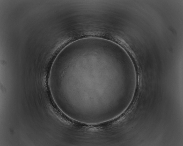 X0000090990249200708021529