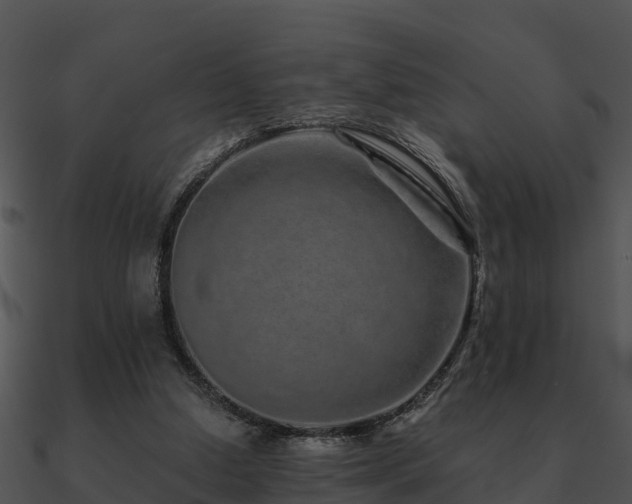 X0000090990250200708021529