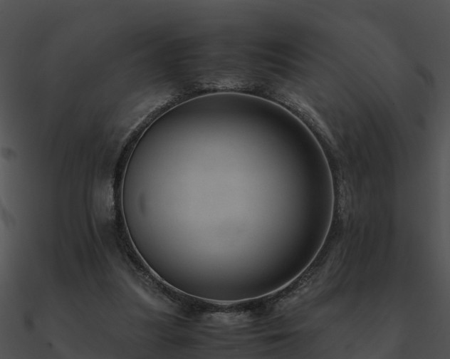 X0000090990251200708021529