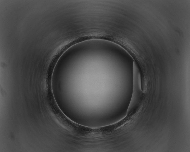 X0000090990252200708021529