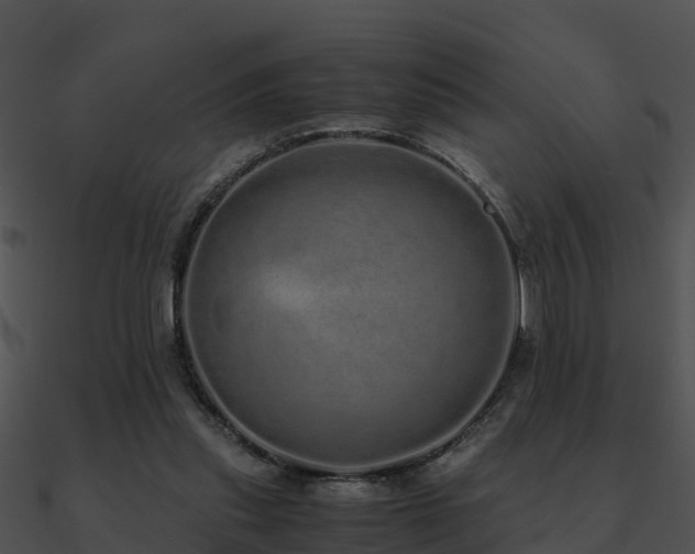 X0000090990253200708021529