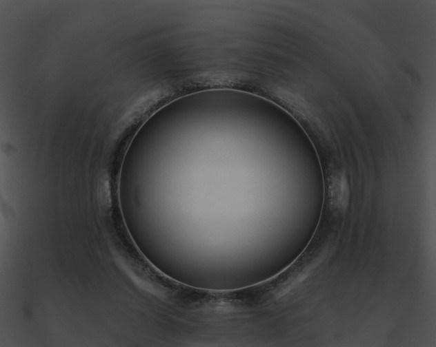 X0000090990254200708021529
