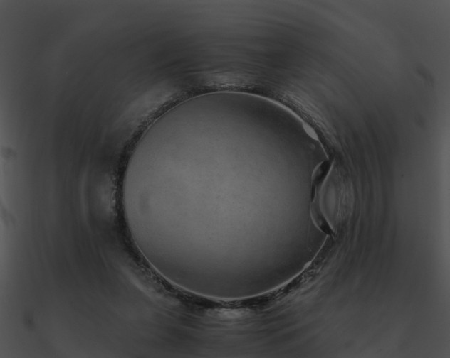 X0000090990255200708021529