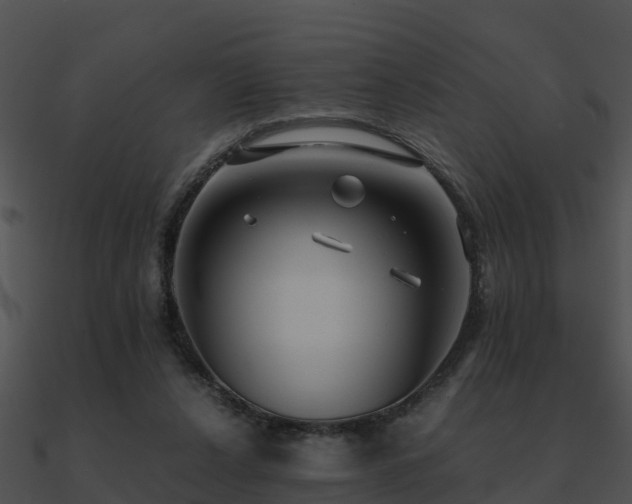 X0000090990256200708021529