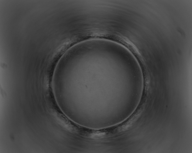 X0000090990257200708021529