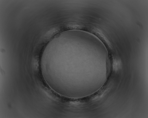 X0000090990259200708021529