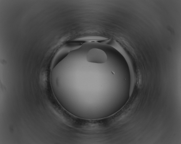 X0000090990260200708021529