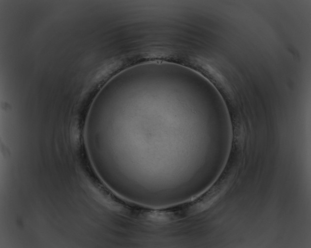 X0000090990261200708021529