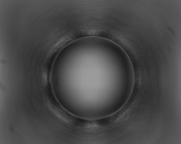 X0000090990262200708021529