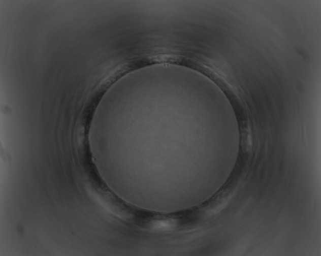X0000090990263200708021529