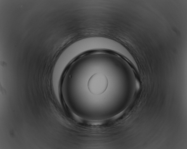 X0000090990264200708021529