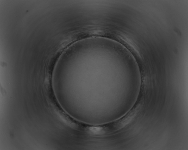 X0000090990265200708021529