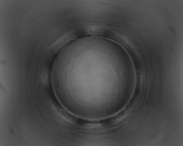 X0000090990266200708021529