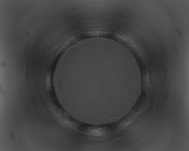 X0000090990267200708021529