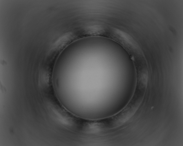 X0000090990268200708021529