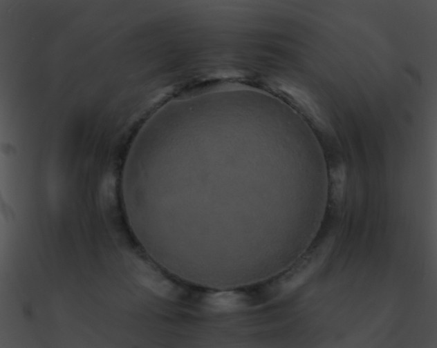 X0000090990269200708021529