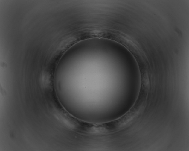 X0000090990270200708021529