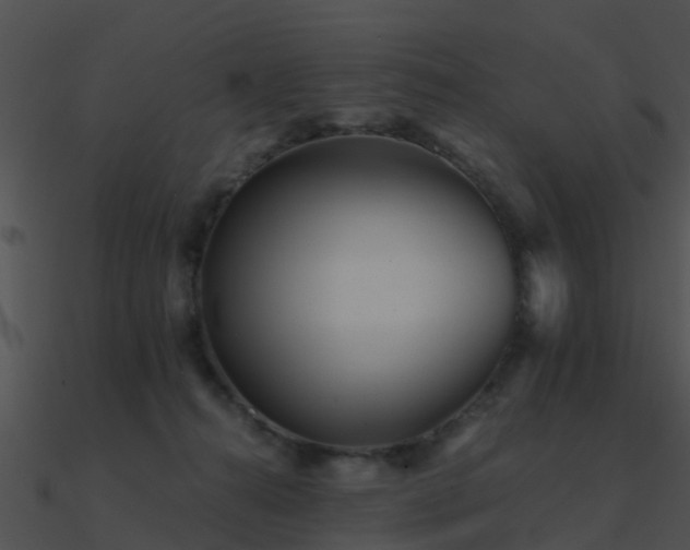 X0000090990272200708021529
