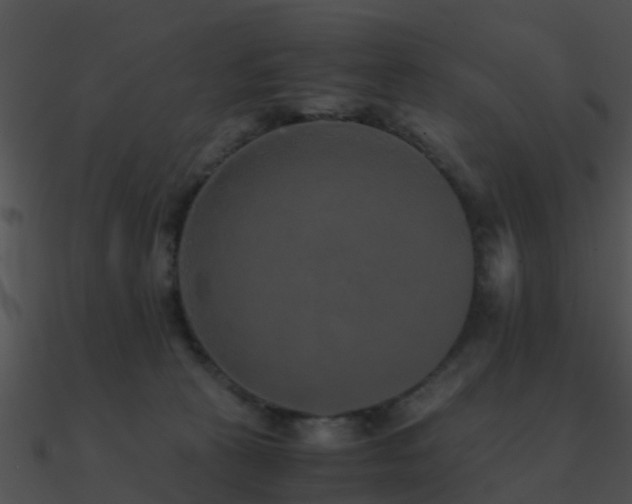 X0000090990273200708021529